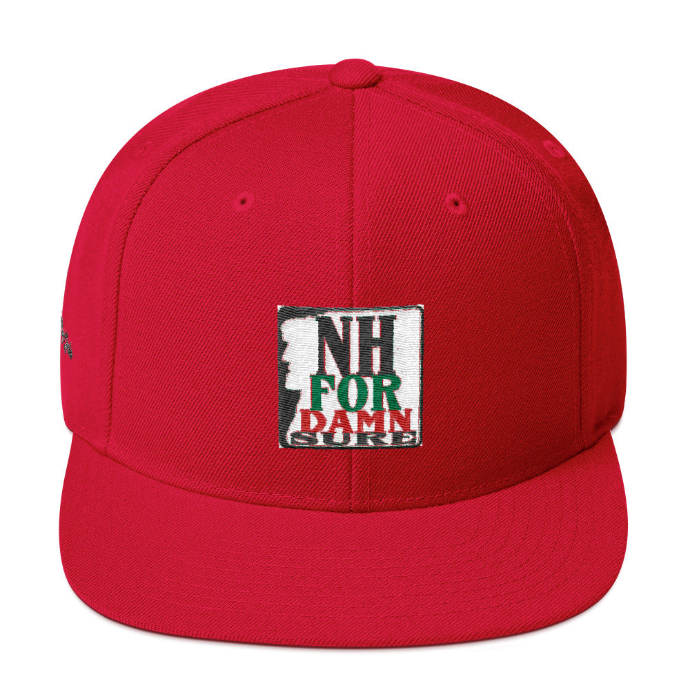 NH4Damnsure Snapback Hat Hat [shop name]